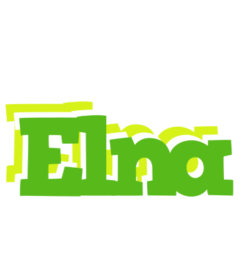 Elna picnic logo