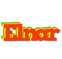 Elnar bbq logo