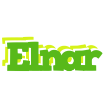 Elnar picnic logo