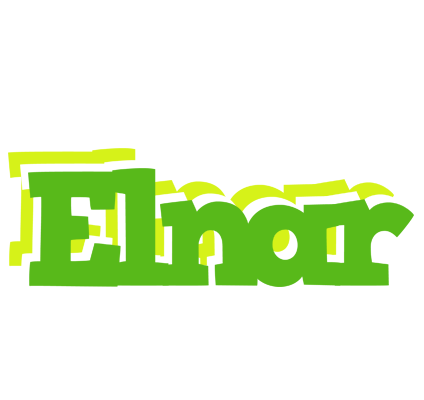 Elnar picnic logo