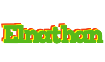 Elnathan crocodile logo