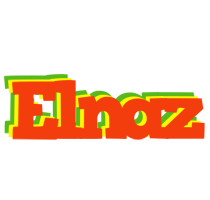 Elnaz bbq logo