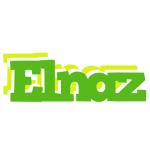 Elnaz picnic logo