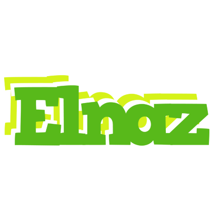 Elnaz picnic logo
