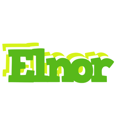 Elnor picnic logo
