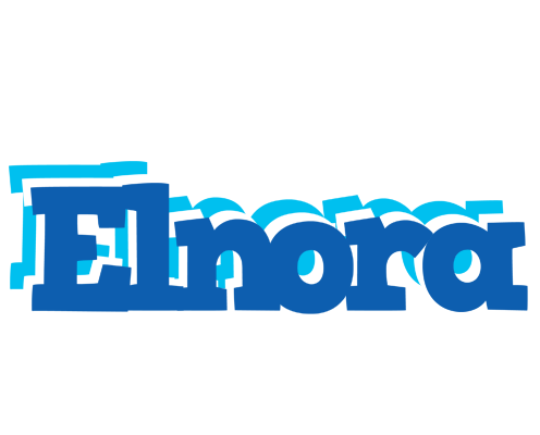 Elnora business logo