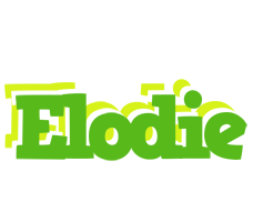 Elodie picnic logo