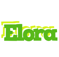 Elora picnic logo