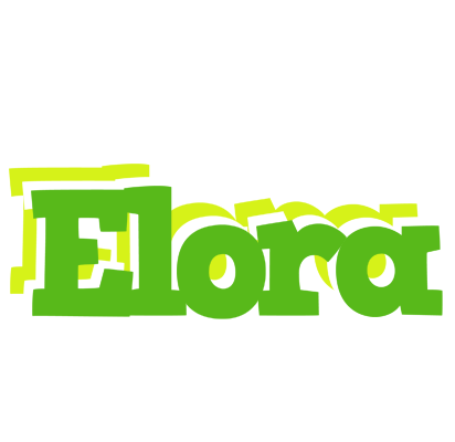 Elora picnic logo