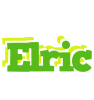 Elric picnic logo