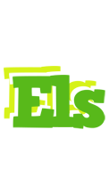 Els picnic logo