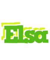 Elsa picnic logo
