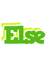 Else picnic logo