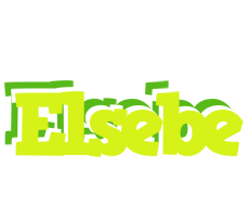 Elsebe citrus logo