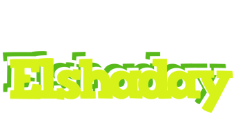 Elshaday citrus logo