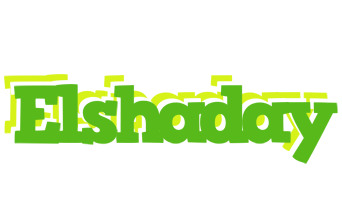 Elshaday picnic logo