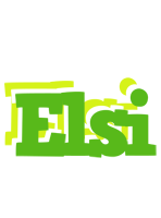 Elsi picnic logo