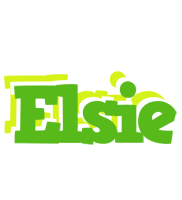 Elsie picnic logo