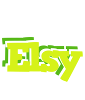 Elsy citrus logo