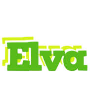 Elva picnic logo