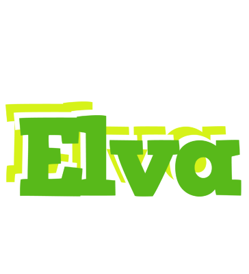 Elva picnic logo