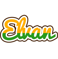 Elvan banana logo
