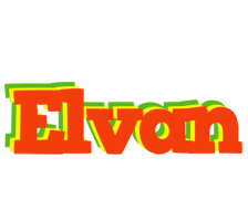 Elvan bbq logo