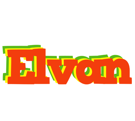 Elvan bbq logo
