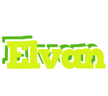 Elvan citrus logo