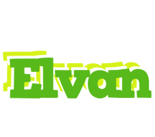 Elvan picnic logo