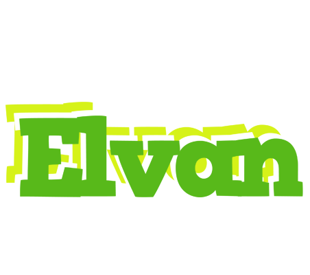 Elvan picnic logo