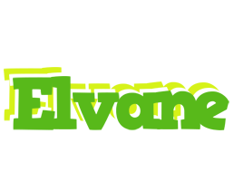 Elvane picnic logo