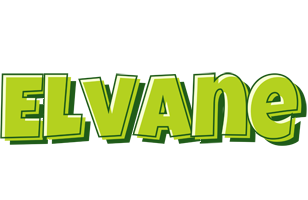 Elvane summer logo