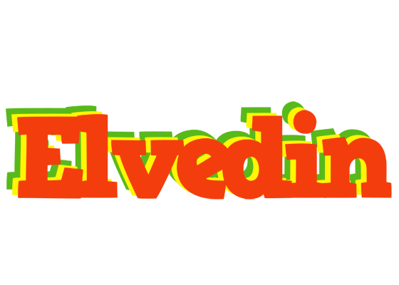 Elvedin bbq logo