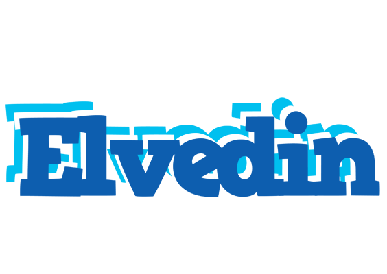 Elvedin business logo