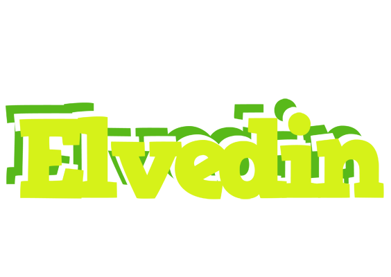 Elvedin citrus logo