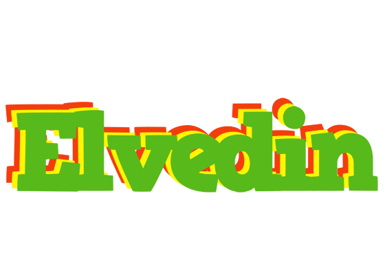 Elvedin crocodile logo