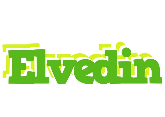 Elvedin picnic logo