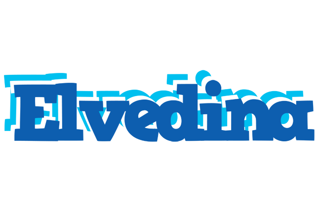 Elvedina business logo