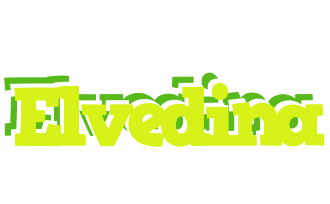 Elvedina citrus logo