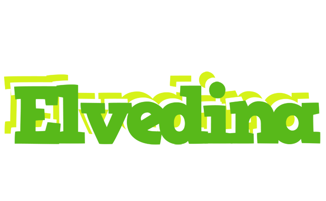 Elvedina picnic logo