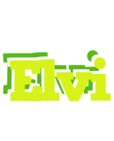 Elvi citrus logo