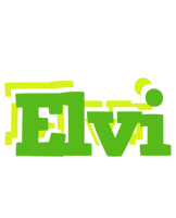 Elvi picnic logo