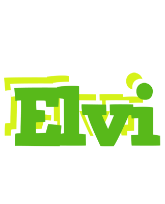 Elvi picnic logo