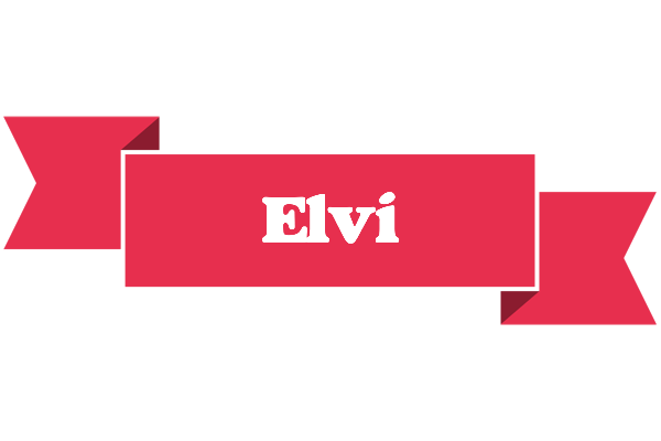 Elvi sale logo