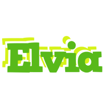 Elvia picnic logo