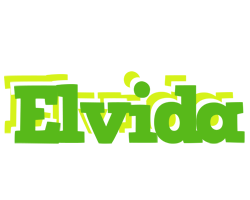 Elvida picnic logo