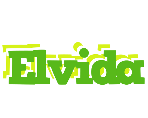 Elvida picnic logo