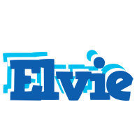 Elvie business logo