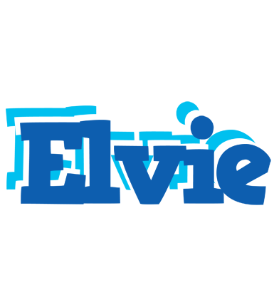 Elvie business logo